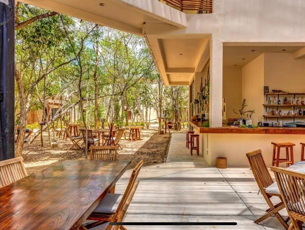Selva Norte - Villa - 3 Bdr - Roof & Jacuzzi 图卢姆