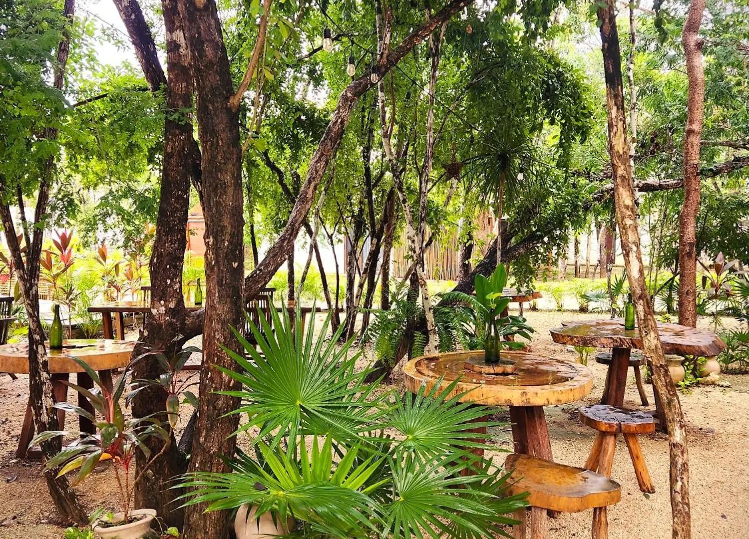 Selva Norte - Villa - 3 Bdr - Roof & Jacuzzi 图卢姆