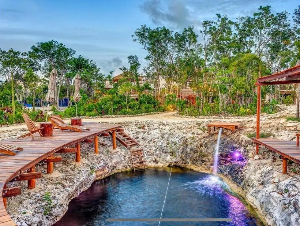 Selva Norte - Villa - 3 Bdr - Roof & Jacuzzi Tulum 0*,  Messico